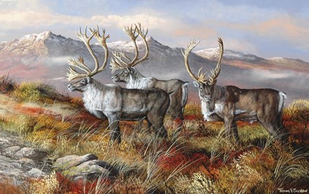Cold Alaskan Ridge by Trevor V. Swanson art print