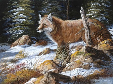 Forest Flame by Trevor V. Swanson art print