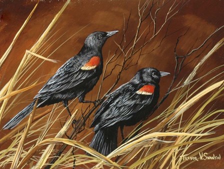 Singers Of Fall by Trevor V. Swanson art print