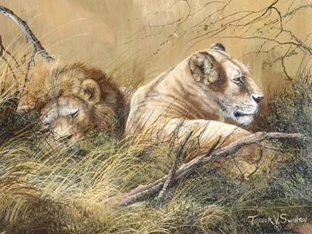 Warm Afternoon by Trevor V. Swanson art print