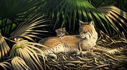 Sunny Spot Bobcat with Kittens by Wilhelm J. Goebel art print