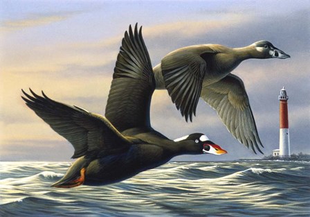 Surf Scooters by Wilhelm J. Goebel art print