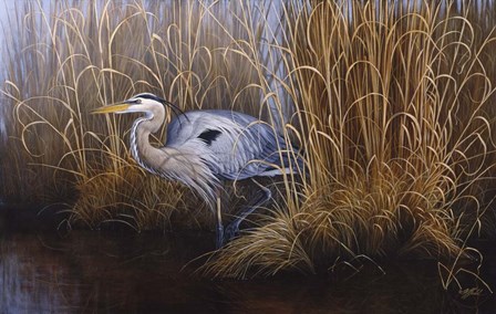 Set In Gold - Great Blue Heron by Wilhelm J. Goebel art print