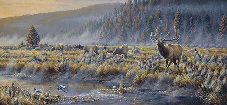 Autumn Classic - Elk by Wilhelm J. Goebel art print