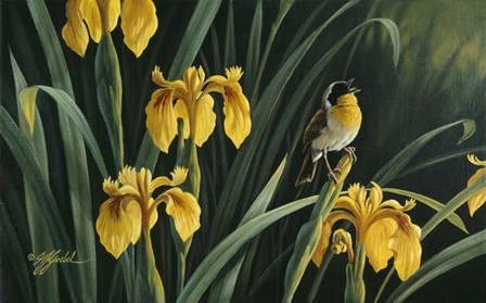 Yellow Flags &amp; Yellowthroat by Wilhelm J. Goebel art print