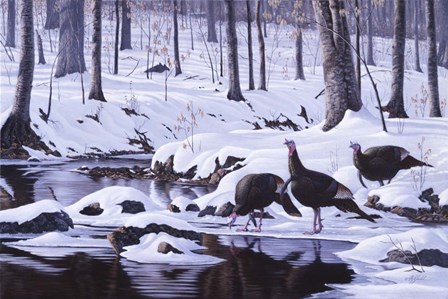 Hardwood Creek - Wild Turkeys by Wilhelm J. Goebel art print