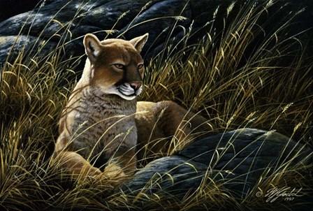 Cougar In The Grass by Wilhelm J. Goebel art print