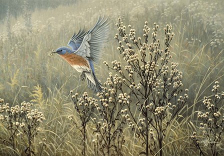 October Meadow by Wilhelm J. Goebel art print