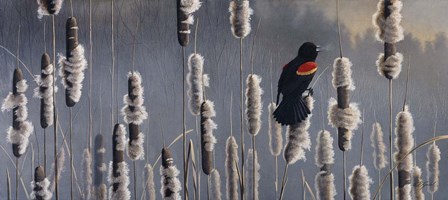Marsh Notes - Red Wing Blackbird by Wilhelm J. Goebel art print