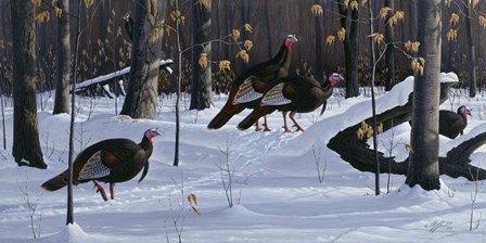 Windfall Crossing by Wilhelm J. Goebel art print