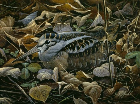 Sitting Tight by Wilhelm J. Goebel art print