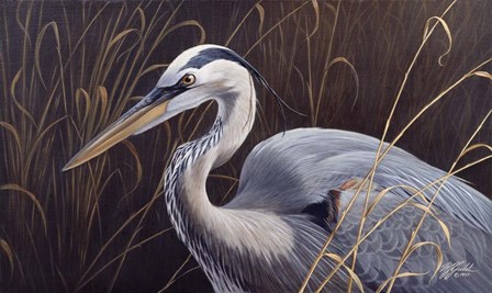 Great Blue Heron by Wilhelm J. Goebel art print