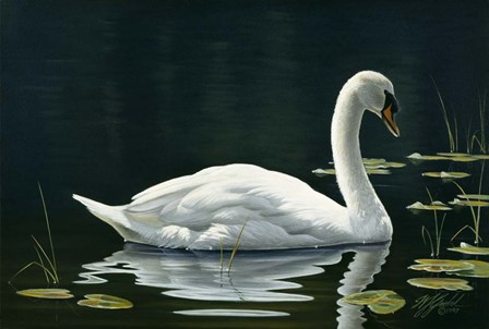 Stillwater by Wilhelm J. Goebel art print