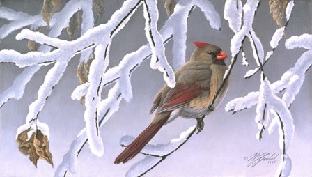 Winter Lady - Cardinal by Wilhelm J. Goebel art print