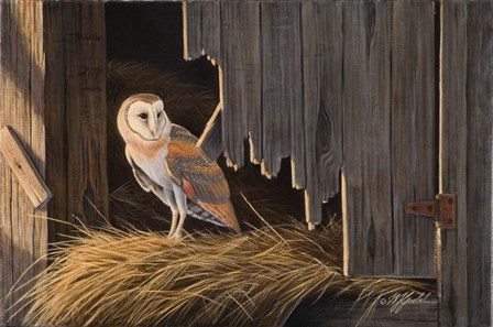 Ready For The Hunt Barn Owl by Wilhelm J. Goebel art print