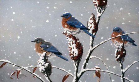 Winter Trio by Wilhelm J. Goebel art print
