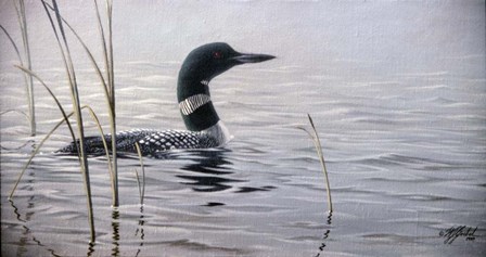 Emerging Loon by Wilhelm J. Goebel art print