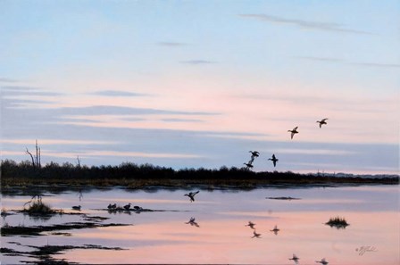 Sunset March Black Ducks by Wilhelm J. Goebel art print