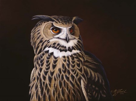 Eagle Owl by Wilhelm J. Goebel art print
