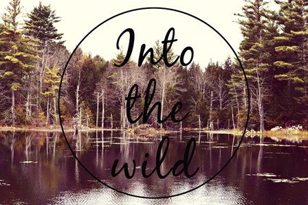 Into The Wild by Vintage Skies art print