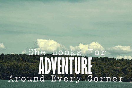 She Looks For Adventure by Vintage Skies art print