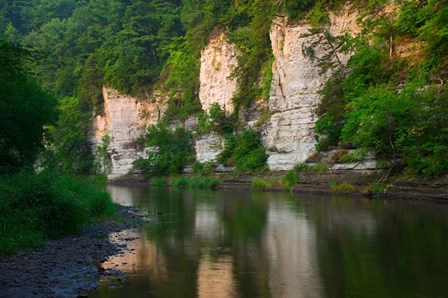 Limestone Bluffs along Upper Iowa River by Panoramic Images art print