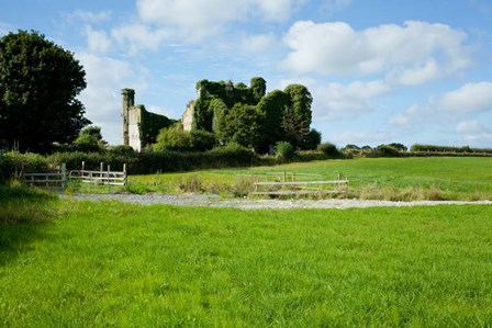Moydrum Castle, Athlone, Republic of Ireland by Panoramic Images art print