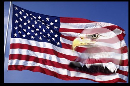 Bald Eagle on Flag by Panoramic Images art print