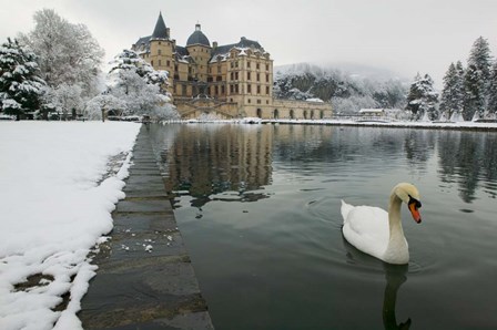Chateau de Vizille, Swan lake, France by Panoramic Images art print