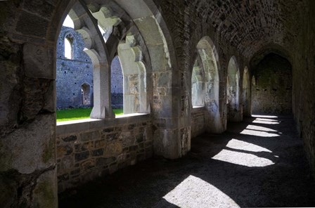 The Cloisters in Killmallock 12th Century Dominican Friary, Co Limerick, Ireland by Panoramic Images art print