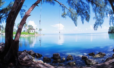 Rope Swing Over Water, Florida Keys by Panoramic Images art print