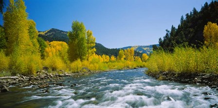 San Miguel River, Colorado by Panoramic Images art print