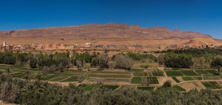 Tinghir Oasis, Province De Tinghir, Souss-Massa-Draa, Morocco by Panoramic Images art print