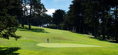 Player at Presidio Golf Course, San Francisco, California by Panoramic Images art print