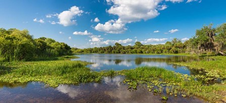 Deer Prairie Creek Preserve, Sarasota County, Venice, Florida by Panoramic Images art print