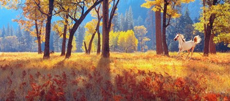 Yosemite Park, California by Panoramic Images art print