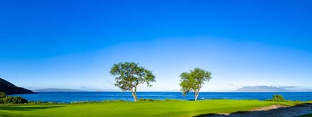 Makena Golf Course, Hawaii by Panoramic Images art print