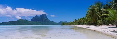 Palm Trees in Bora Bora, French Polynesia by Panoramic Images art print