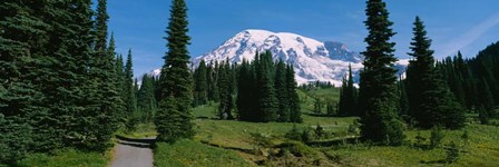 Mt. Rainier National Park, Washington State by Panoramic Images art print
