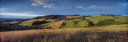 Landscape, Scottish Borders, Scotland by Panoramic Images art print