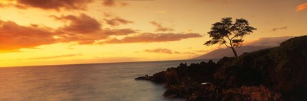 Wailea Point, Maui, Hawaii by Panoramic Images art print