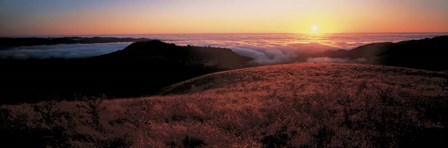 Santa Cruz Mountains, CA by Panoramic Images art print