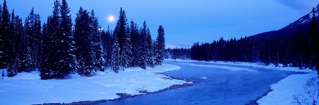 Moon Rising Above The Forest, Banff National Park, Alberta, Canada by Panoramic Images art print