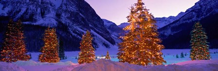 Christmas Trees, Lake Louise, Alberta, Canada by Panoramic Images art print