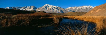 Owens River, CA by Panoramic Images art print