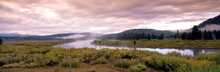 Yellowstone Park, Snake River, Wyoming by Panoramic Images art print