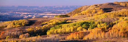 Aspens Dixie National Forest, Utah by Panoramic Images art print