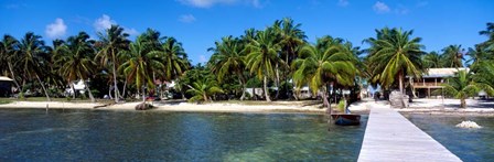 Oceanfront Pier, Caye Caulker, Belize by Panoramic Images art print