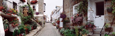 Saint Ives Street Scene, Cornwall, England by Panoramic Images art print
