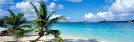 Salomon Beach, US Virgin Islands by Panoramic Images art print